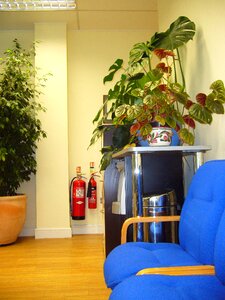 Indoor plants waiting room photo