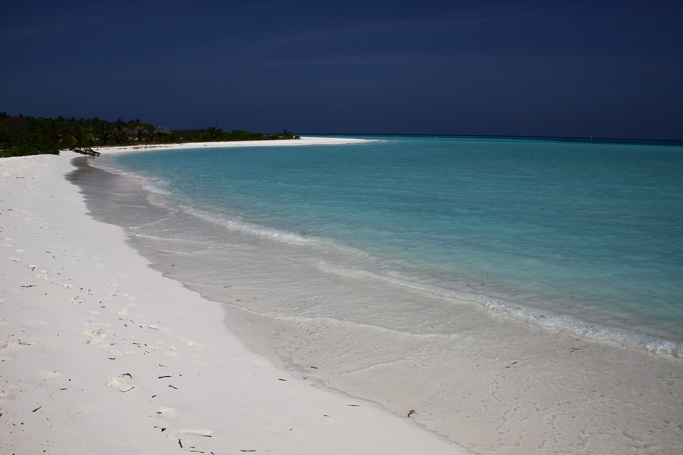 Beach water sea