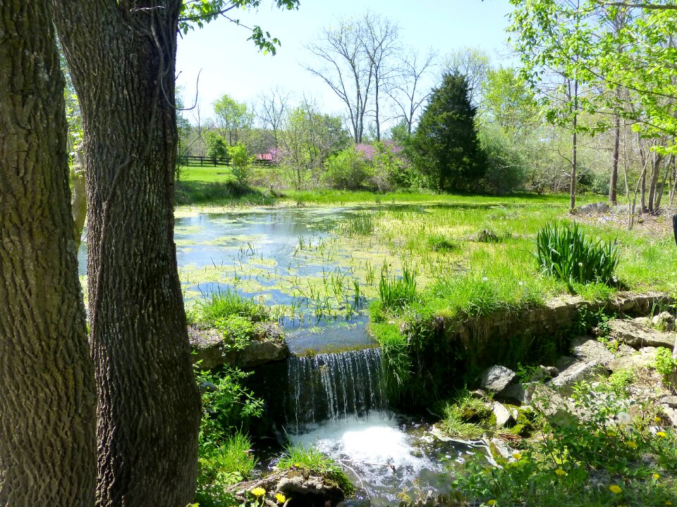 Water natural outdoor