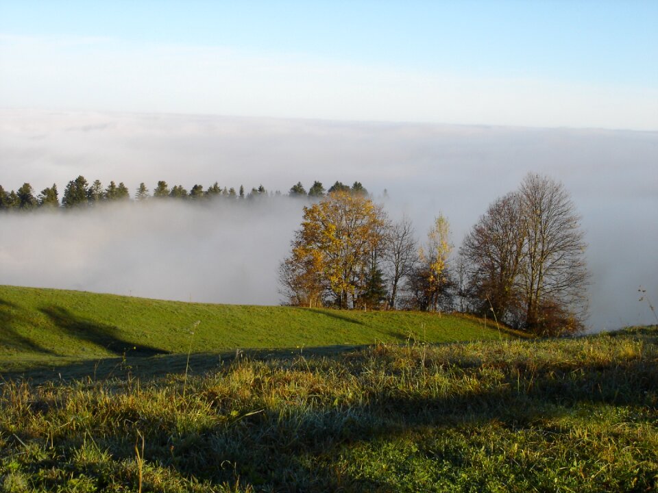 Sky sea of fog ridge