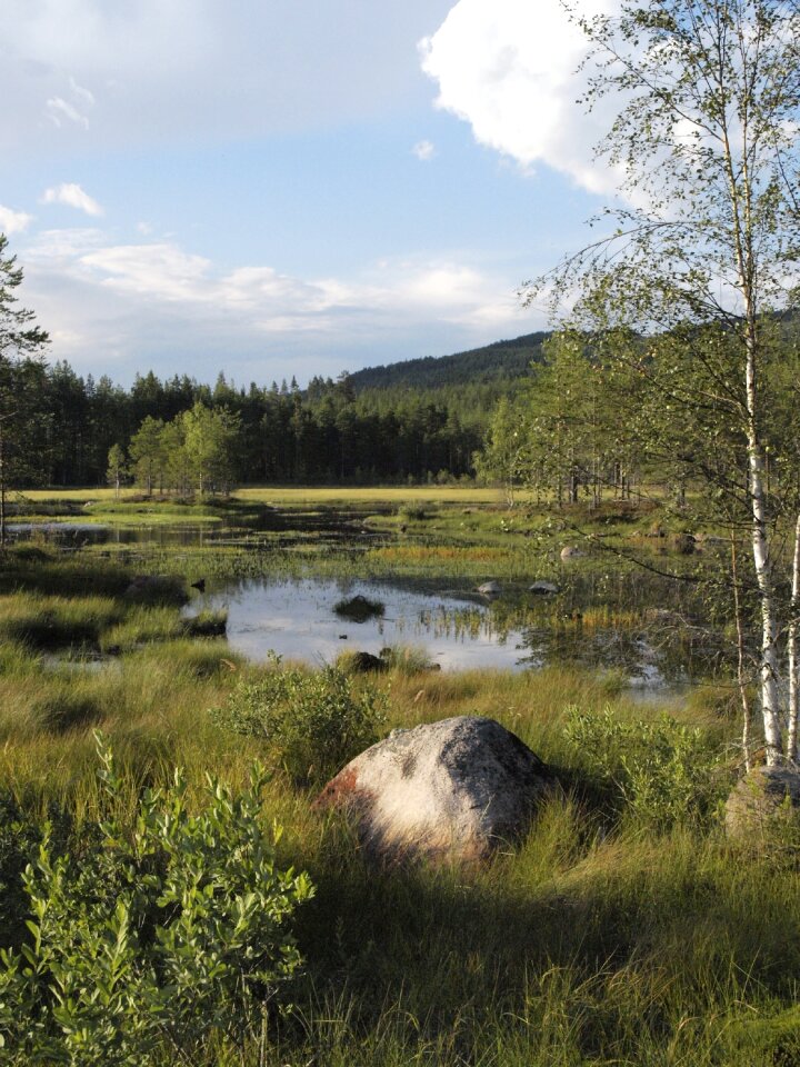 Sweden lake värmland