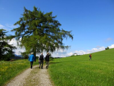 Away meadow sky photo