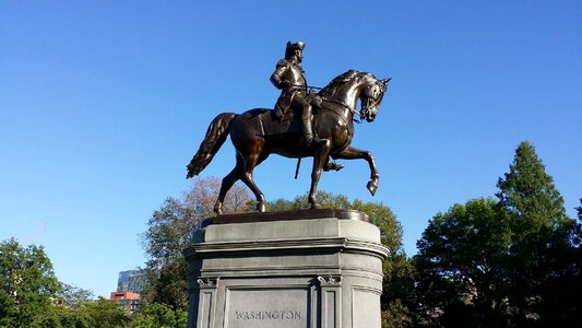 Common horse landmark