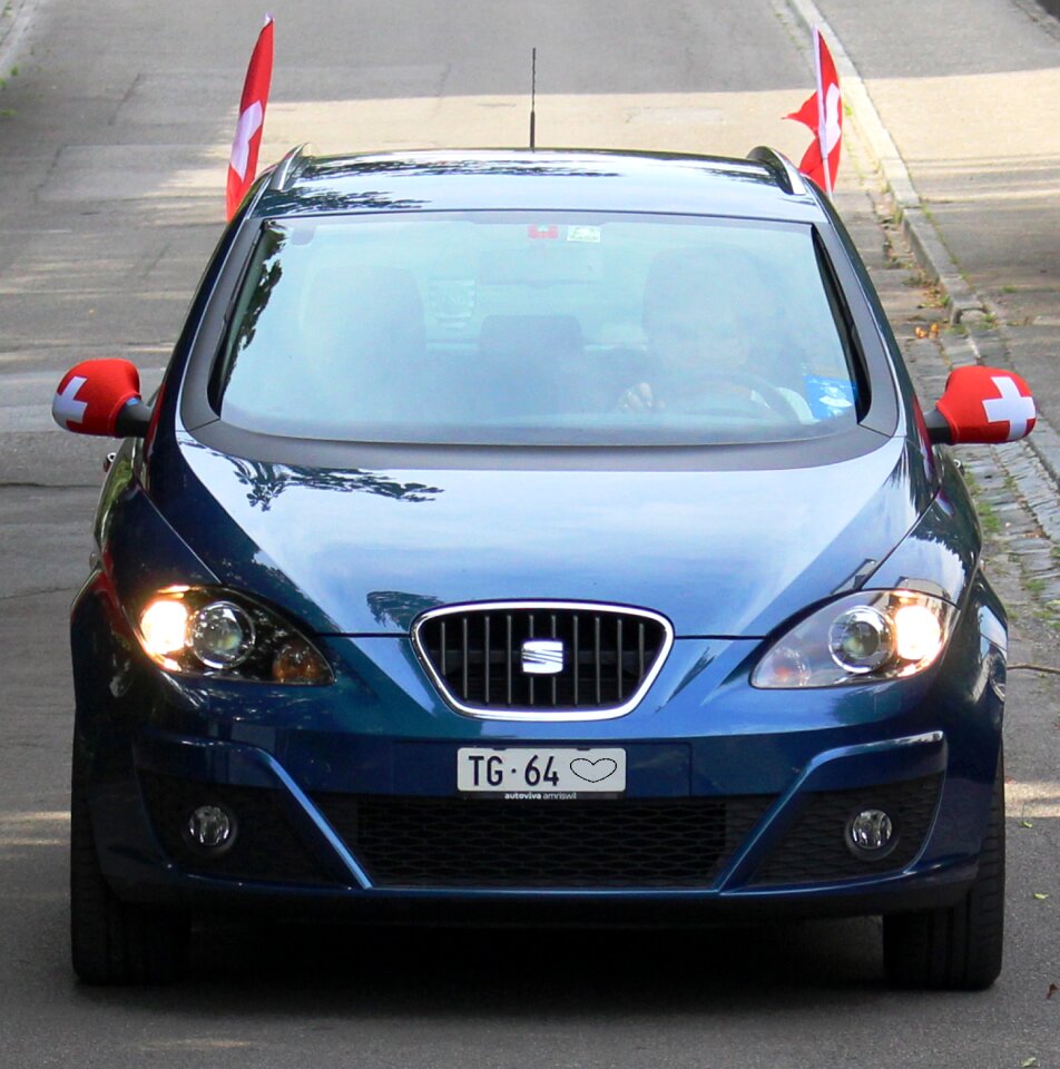 Flags and pennants auto seat