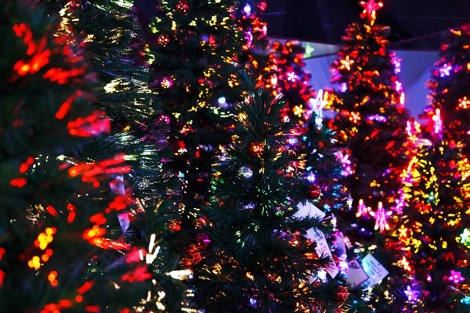 Christmas colorful december