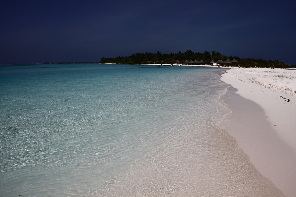 Beach water sea