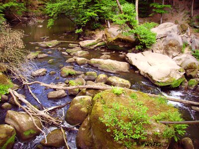 Rock river nature