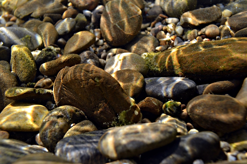 Rocks nature river