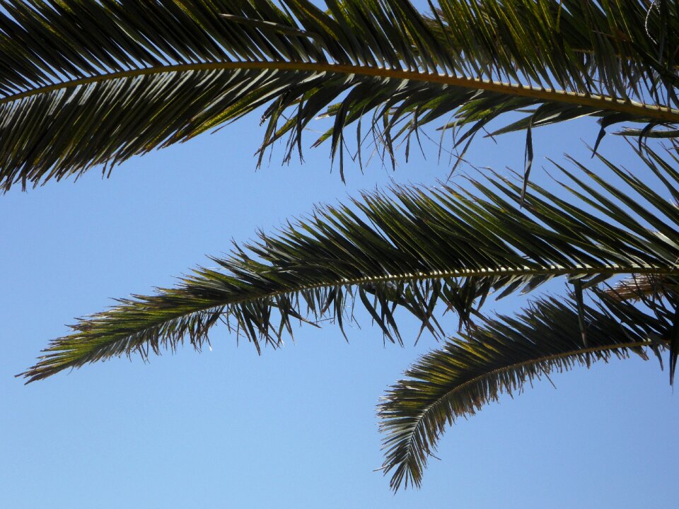 View outlook vacations