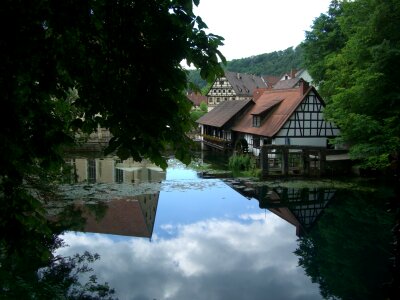 Blaubeuren truss nave
