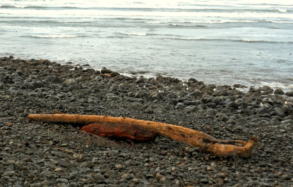 Shore nature outdoor