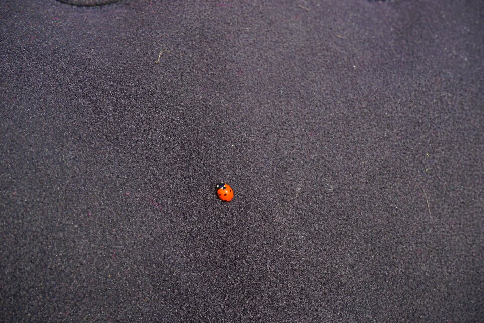 Small lucky charm red