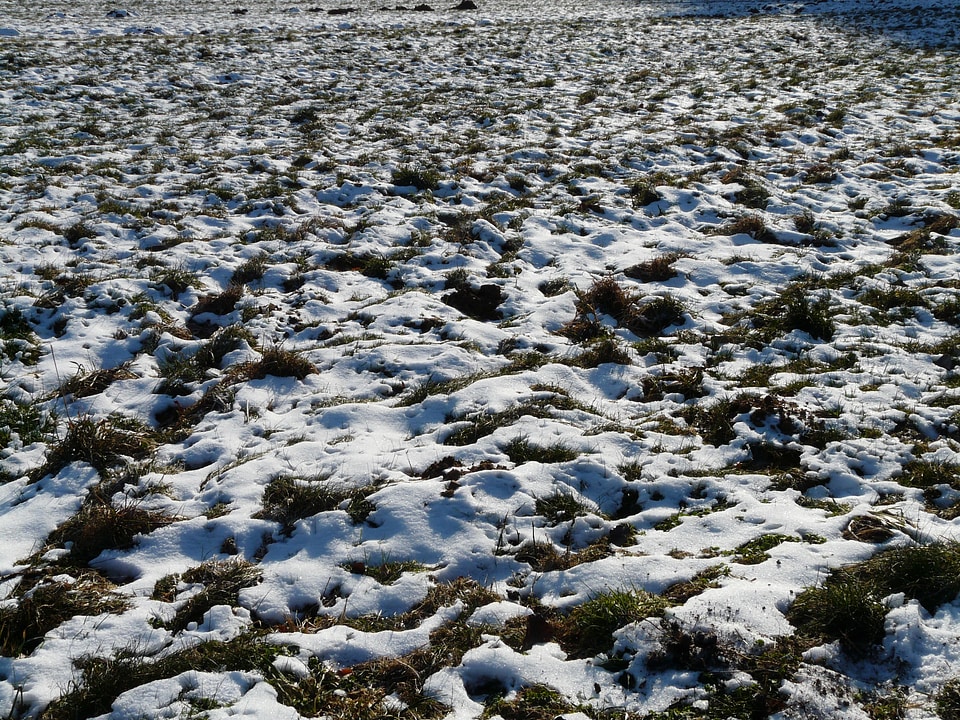 Snow winter cold