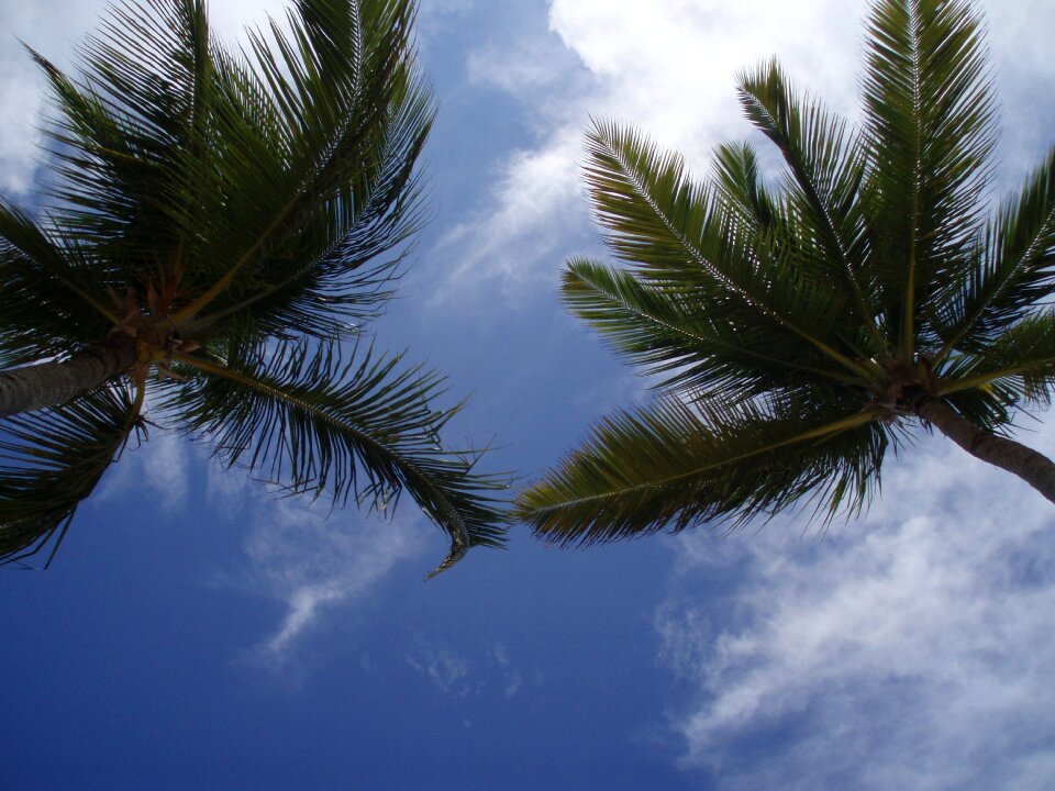 Caribbean sky nature
