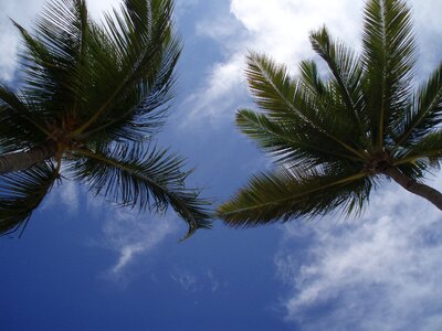 Caribbean sky nature