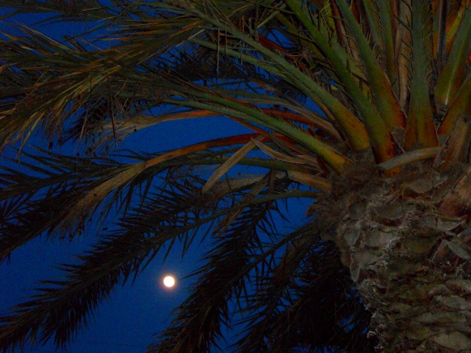 Moon full moon shining