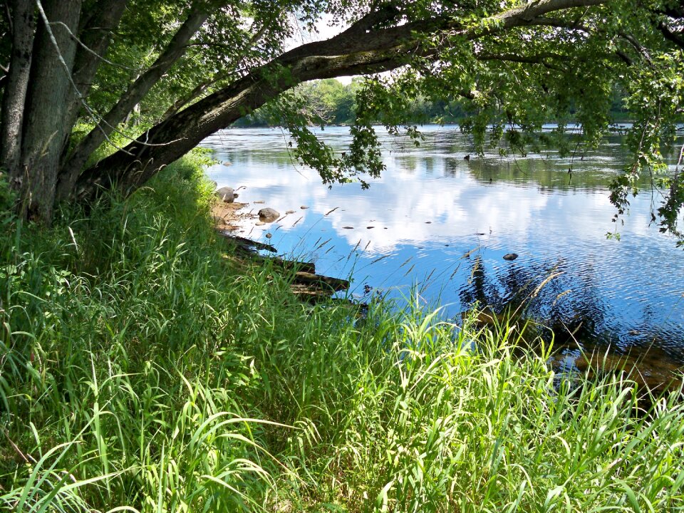 Beautiful serenity summer
