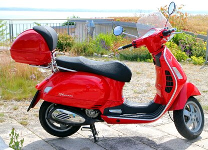 Red flitzer locomotion