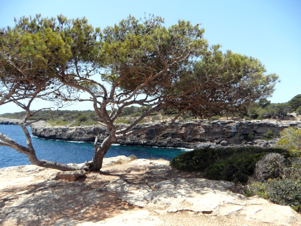 Rocky coast rocky mallorca