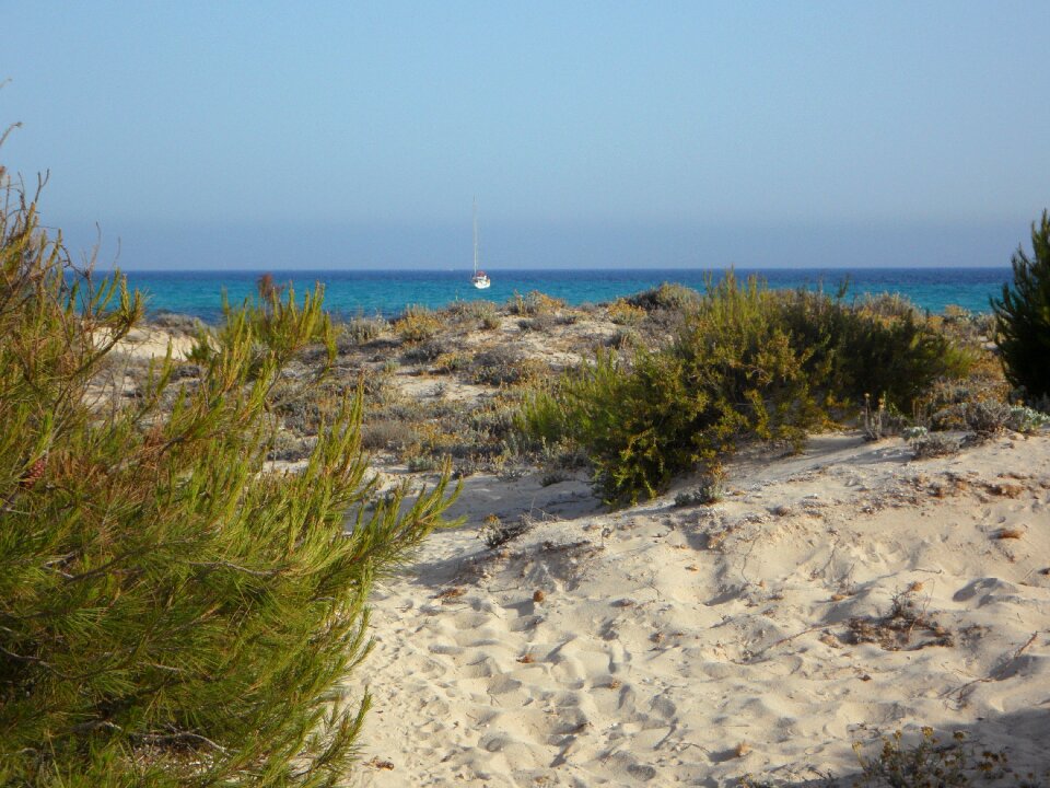 Dune landscape horizon sea