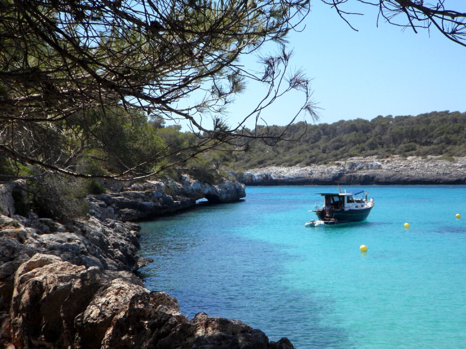 Sea nature mallorca