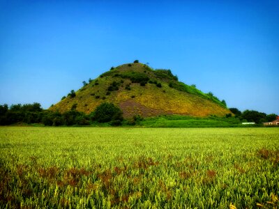 Hill landfill crop