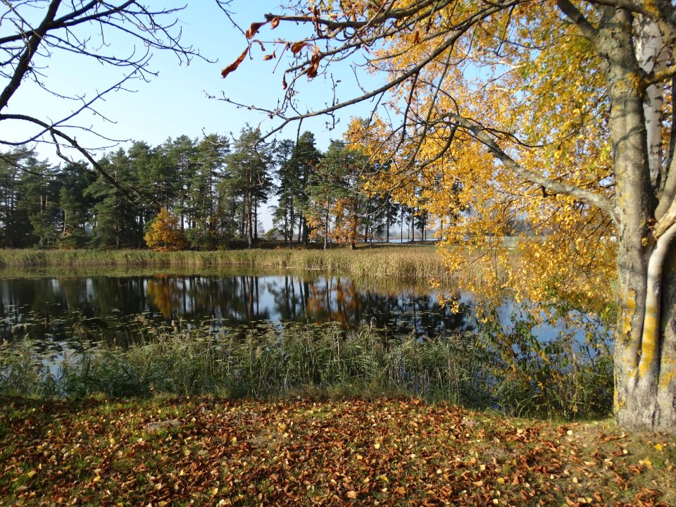 Beautiful lake lithuania