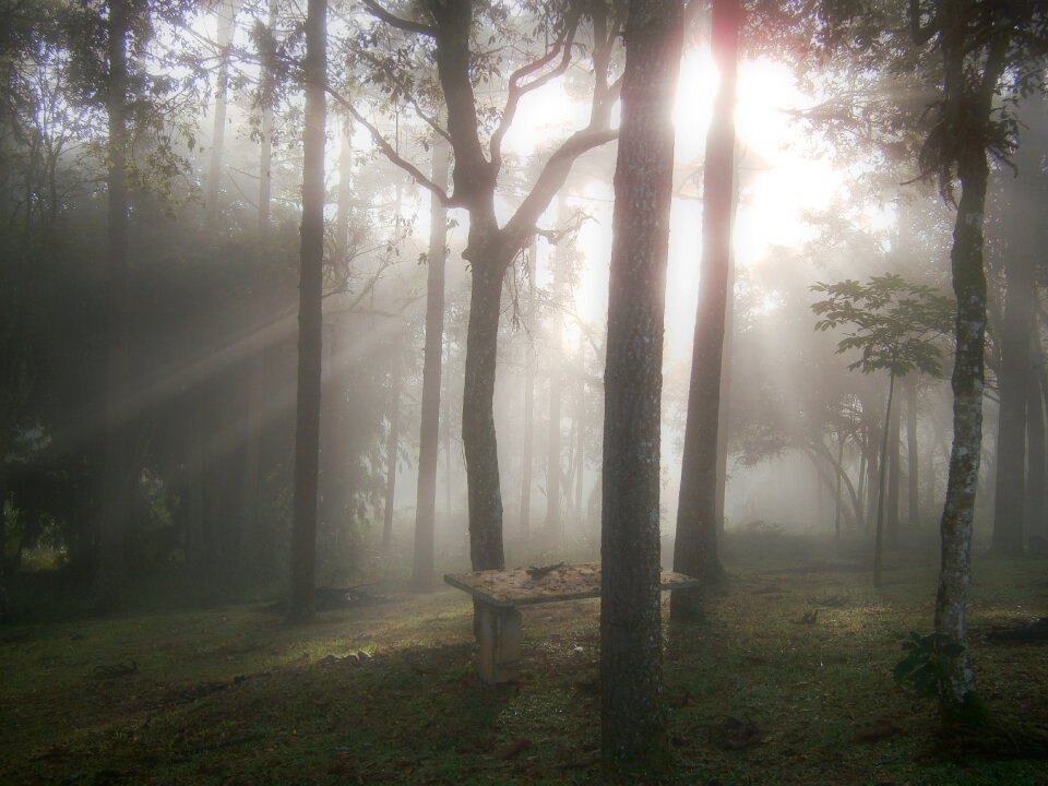 Ray of light winter winter scene