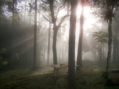 Ray of light winter winter scene