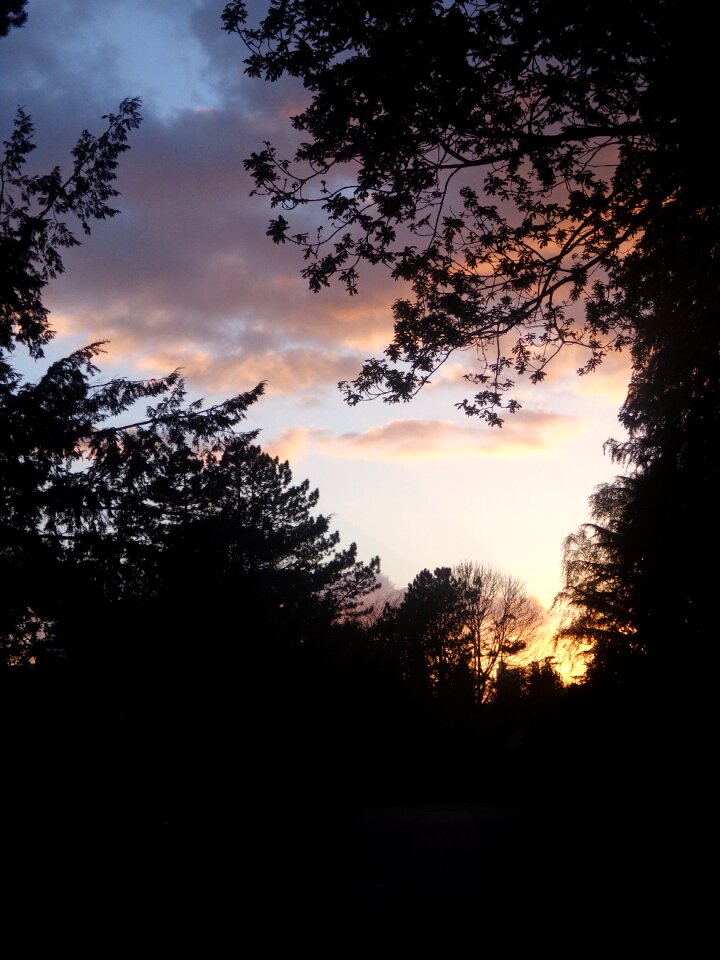 Landscape abendstimmung dusk photo