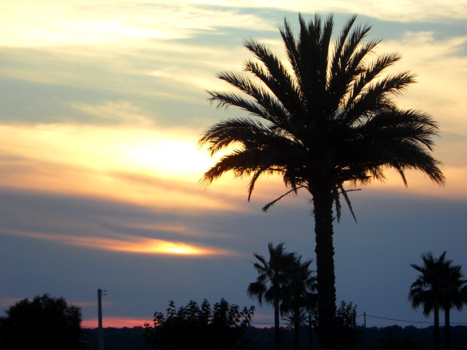 Silhouette sky abendstimmung