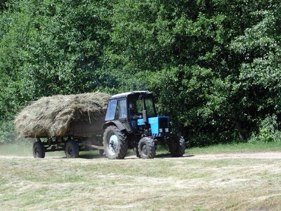 Tractor hay forest