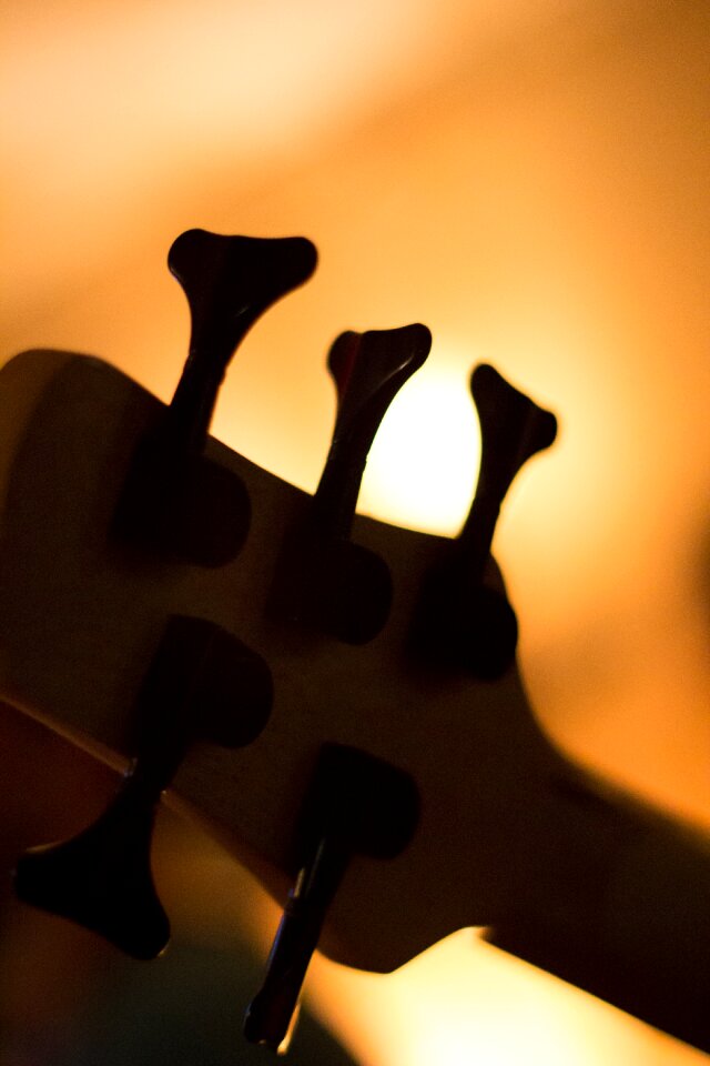 Guitar music musician
