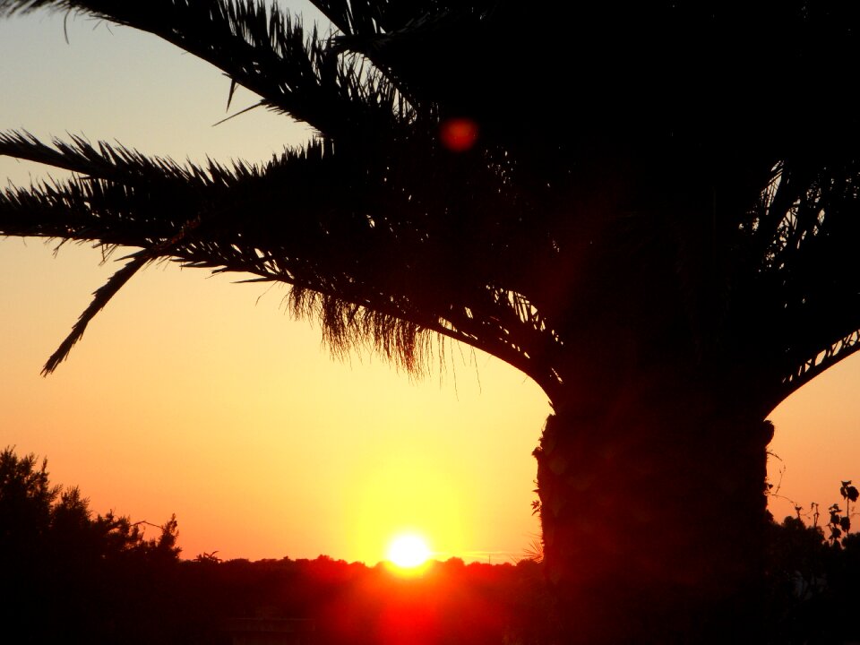 Silhouette sky abendstimmung