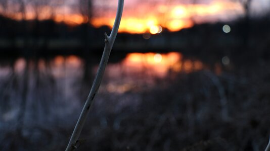 Scenic sundown autumn
