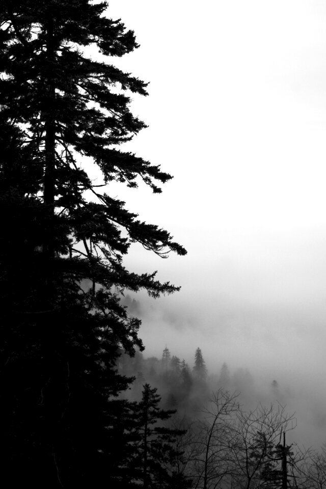 Cloudy mystical dark