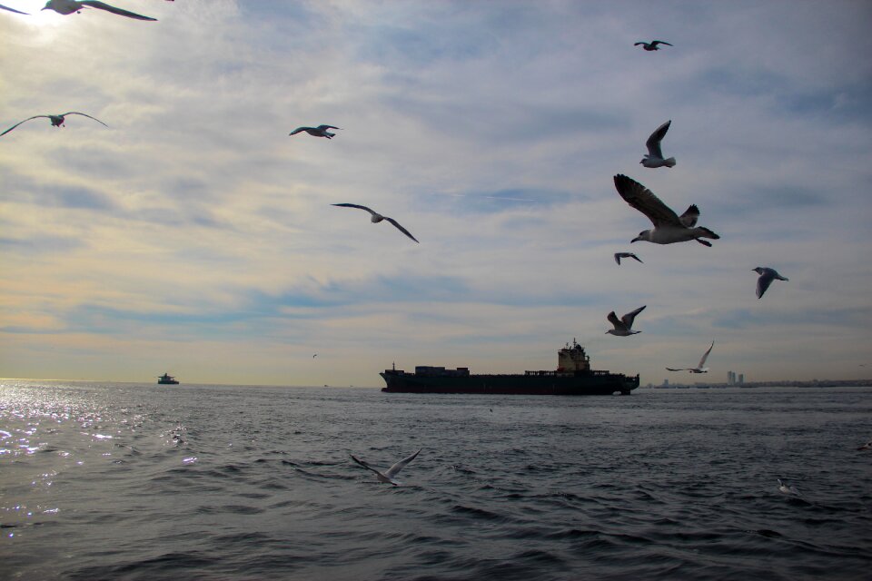 Ship water ships
