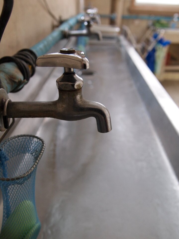 Hand washing sink school