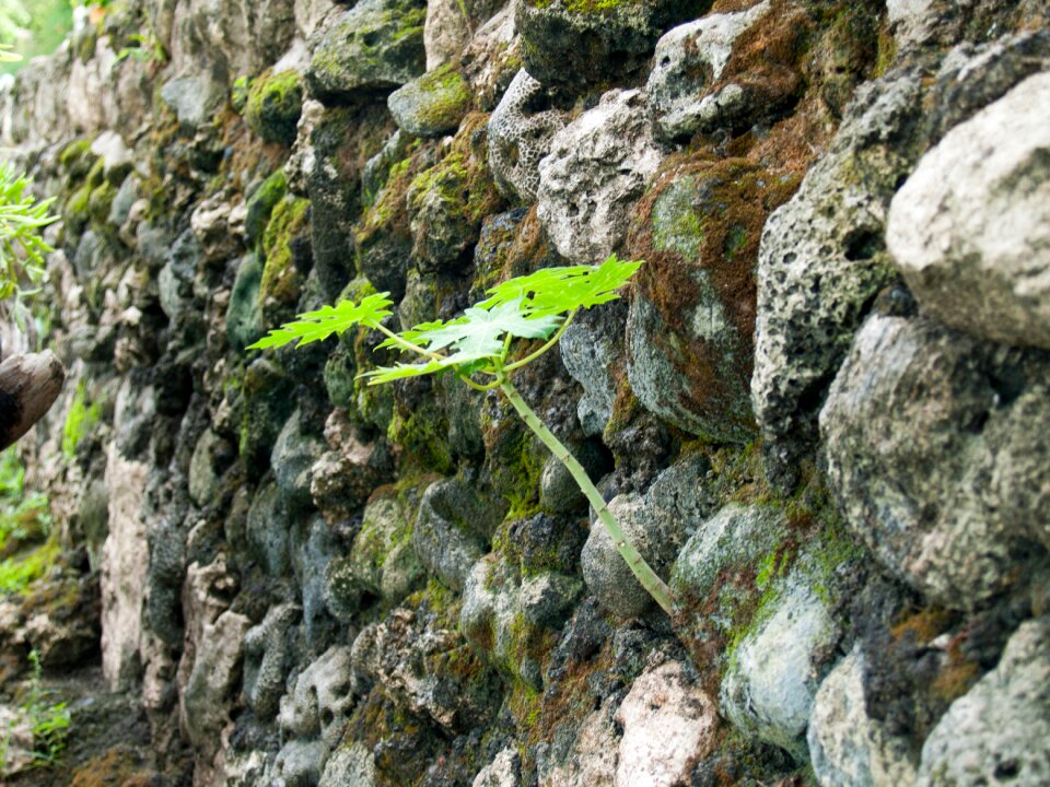 Stone natural