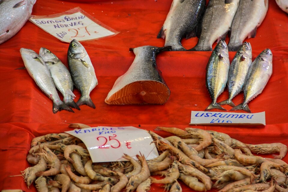 Mackerel shrimp buy