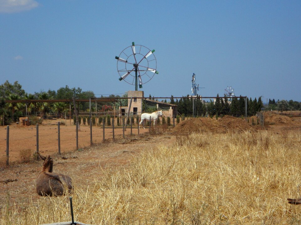 Wind wind energy energy