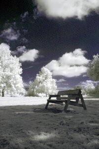Surreal trees filter