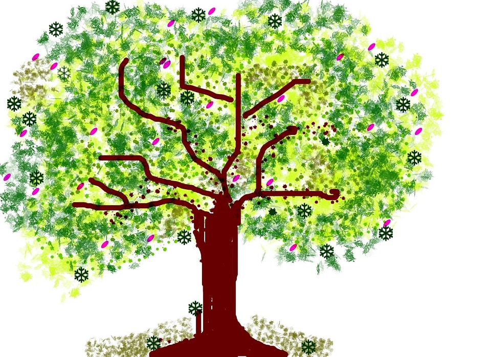 Nature drawing trunk