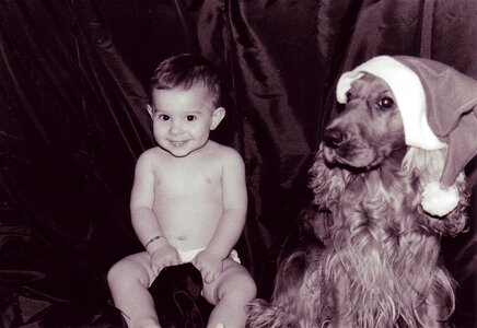 Cocker spaniel dog child