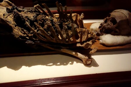 Death decay dead