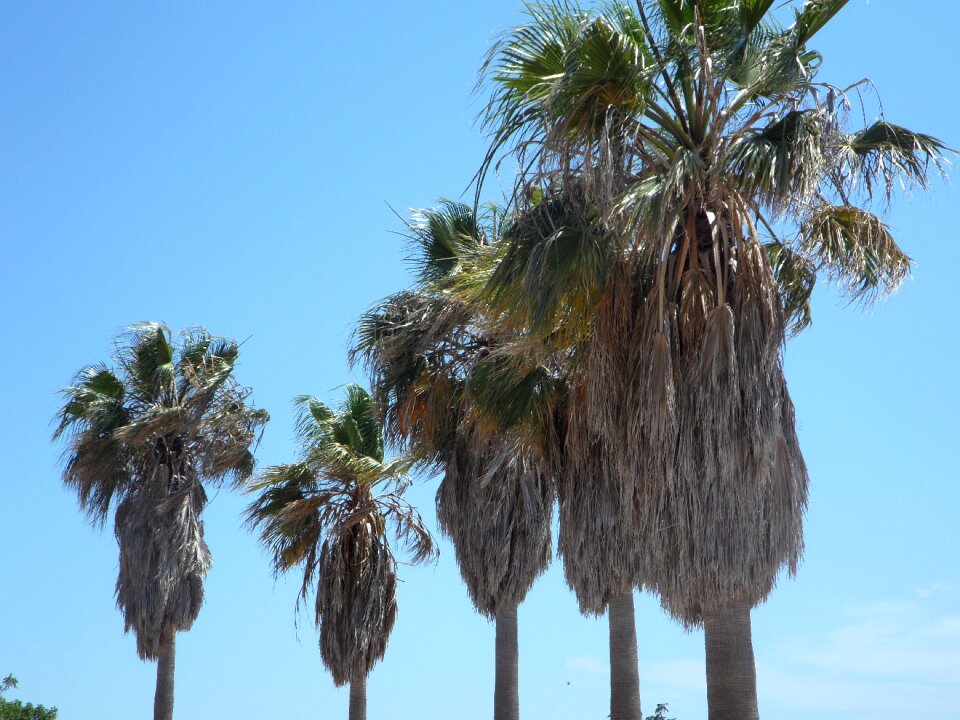 Vacations blue travel