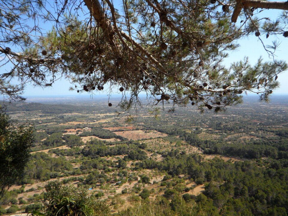 Agriculture view vision