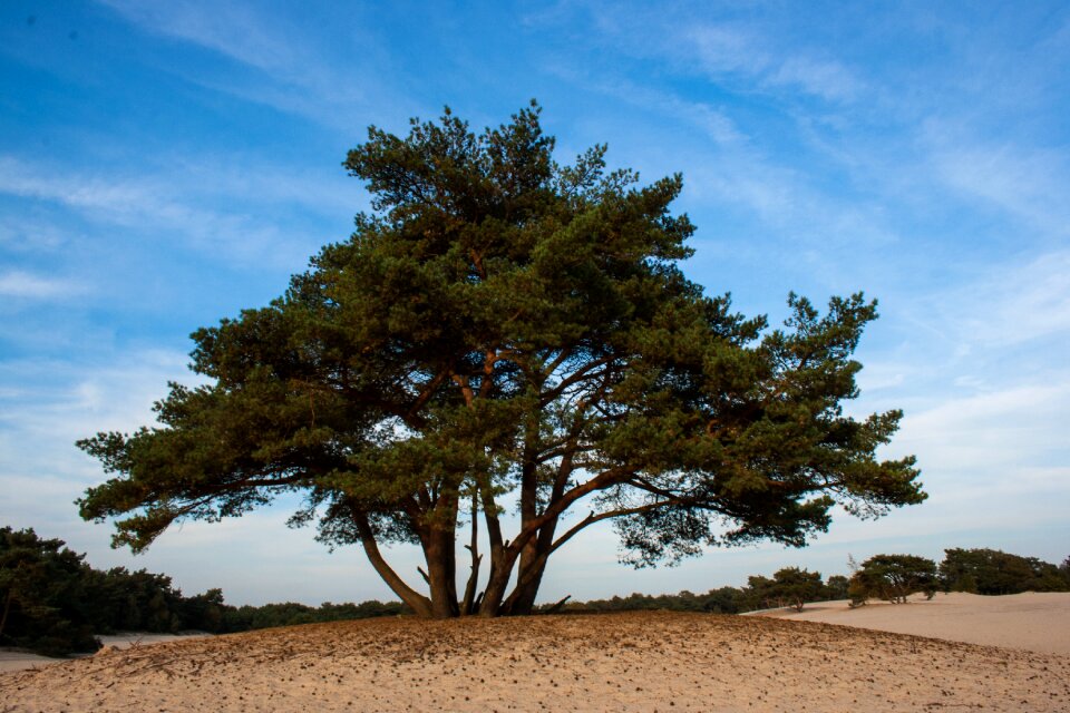 Nature landscape sand