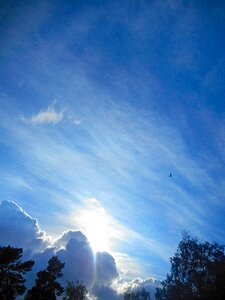 Sunset blue sky summer