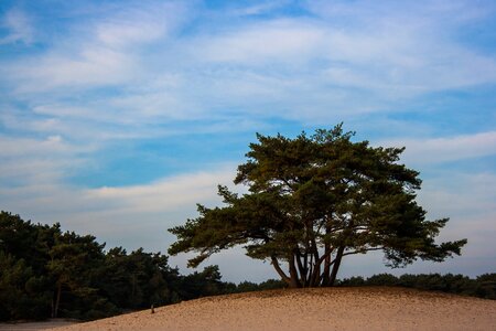 Nature landscape sand